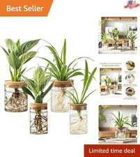 Art Deco Glass Plant Propagation Stations   42 Large  2 Small Vases for Home