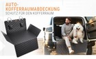 Bild 12 von 12
