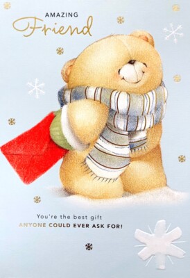 Amazing Friend You're The Best Geschenk Weihnachtskarte LOVELY Forever Friends Bär i