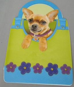 ebay chihuahua puppies