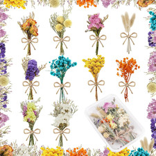 10 Pcs Mini Dried Flowers Bouquet Natural Gypsophila Don'T Forget Me Dried