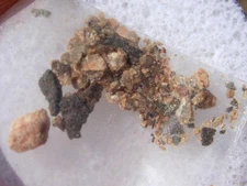 .160 grams NWA 7021 Meteorite ( class C03 ) fragment Northwest Africa with COA