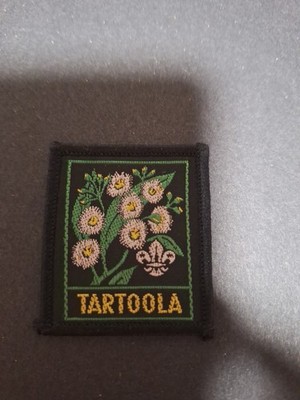 Pfadfinderabzeichen australisch NSW TARTOOLA alle glänzenden Farben gebunden