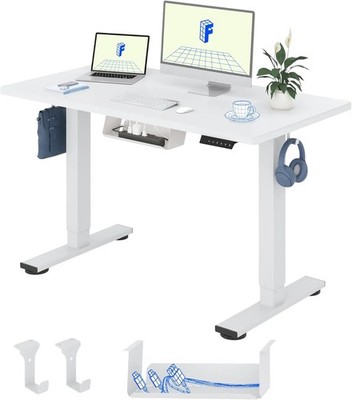 FlexiSpot Höhenverstellbarer Schreibtisch 120x60cm Weiß Ergonomisch mit