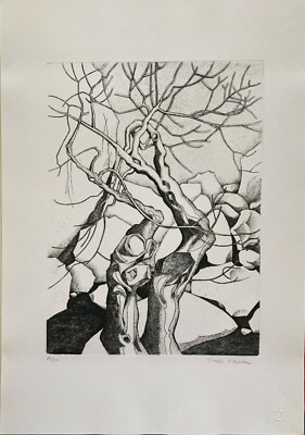 Giuseppe D'Addazio La Mia Terra Abruzzo Aquaforte 50X35 Firmata Numerata '85