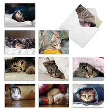 10 Assorted Thank You Note Cards with Envelopes - CAT YOU SEE ME NOW M1543TY