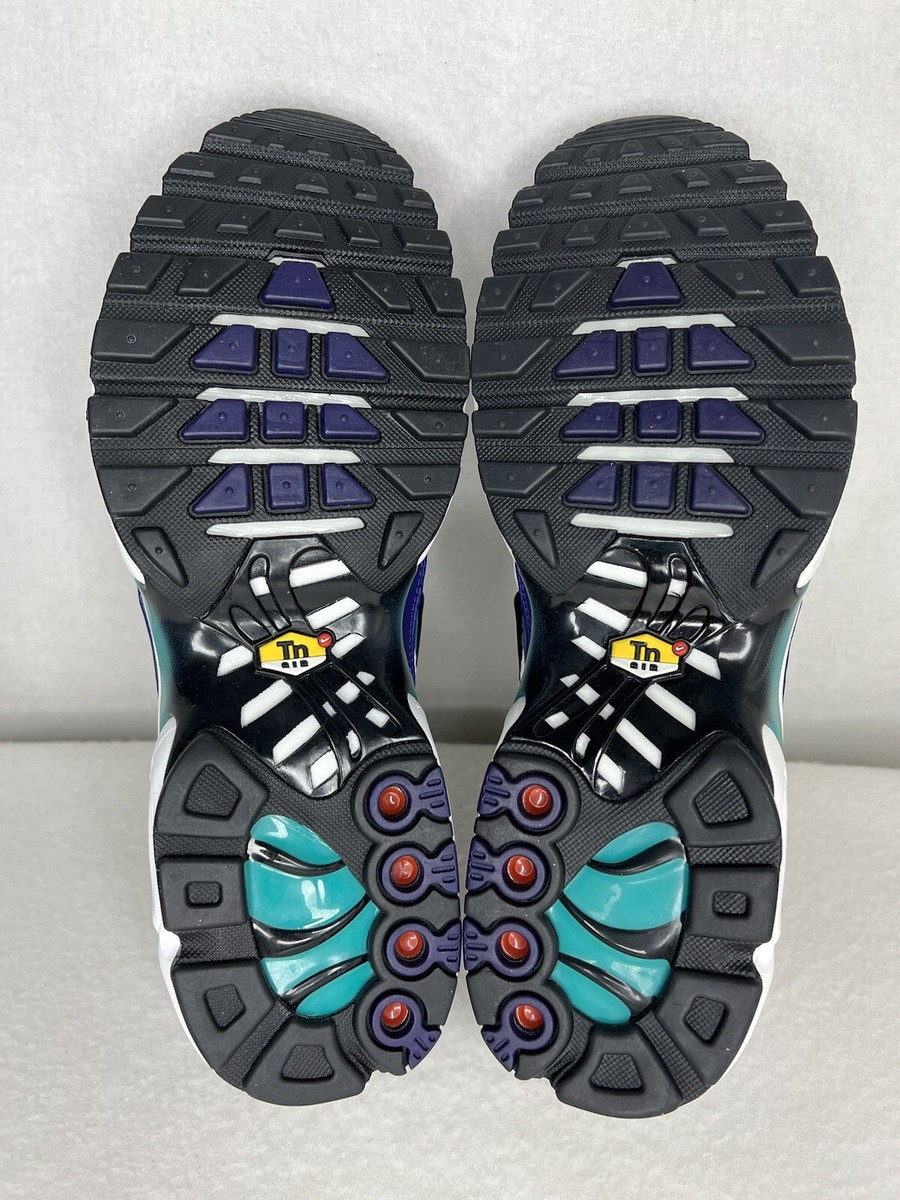 air max plus color flip black