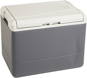 coleman roadtrip 40 qt powerchill cooler