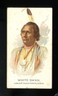 1888 N2 Allen & Ginter American Indian Chiefs White Swan VG/