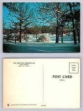 Morton Arboretum Illinois Oaks in Winter Vintage Postcard Snowy Landscape