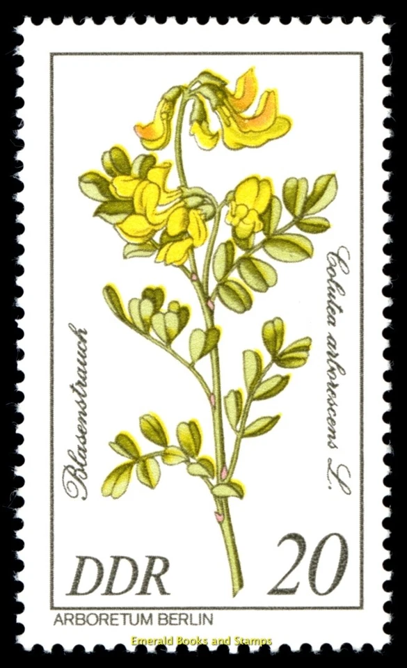 EBS East Germany DDR 1981 - Flowers- Rare Trees - Michel 2573-2578 - MNH** - Image 4 of 4