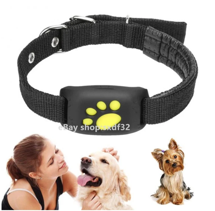 Collar GPS para gatos – Fit Super-Humain