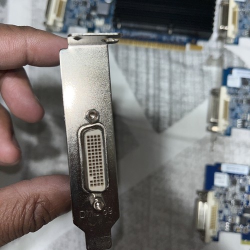 8x PNY GeForce 8400GS 512MB PCI Express Low Profile Video Card VCG84DMS5R3SXPB - Picture 3 of 3