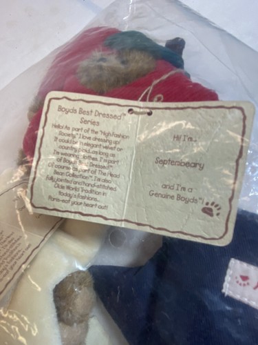 Boyd’s Bears Peekers Plush Head Bean Collection 6 Month Holidays Sealed & Tags - Picture 9 of 12