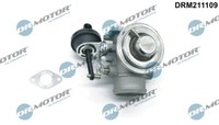 Dr.Motor Agr-Ventil FüR VW Audi Seat Skoda OE 045131501L