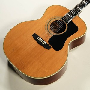 Guild F50r | eBay
