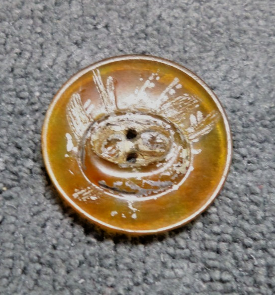 Vintage Antique Pressed Horn Picture Button NEST w/EGGS METALLIC PAINT