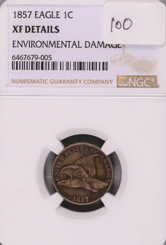 1857 Flying Eagle Cent NGC XF Details Environmental Damage #9-005