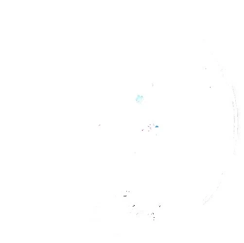 Tinker Bell Birthday Party Favors & Bag Fillers