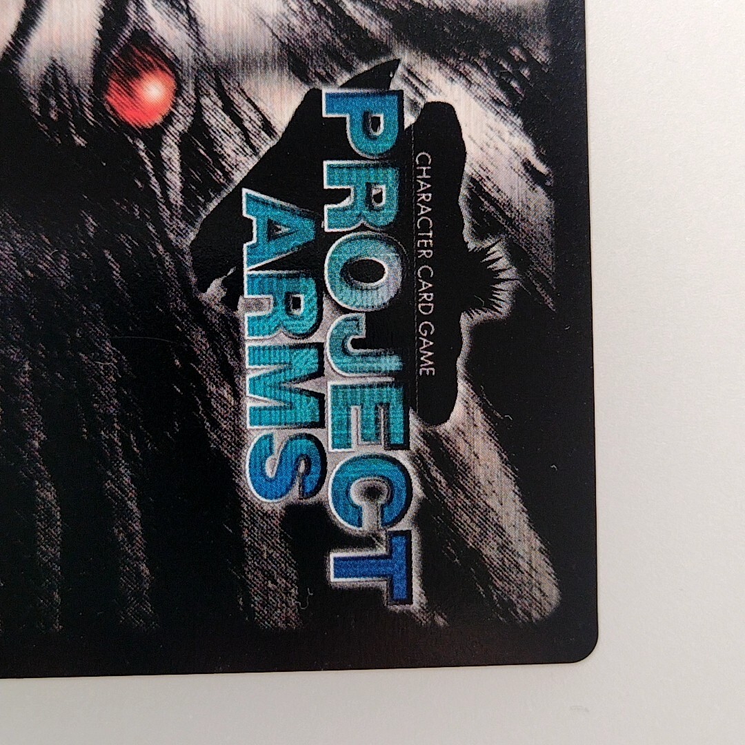 PROJECT ARMS 
