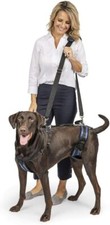 PetSafe CareLift Support Harness - Full Body Dog Lift Harness with Handle  Shou