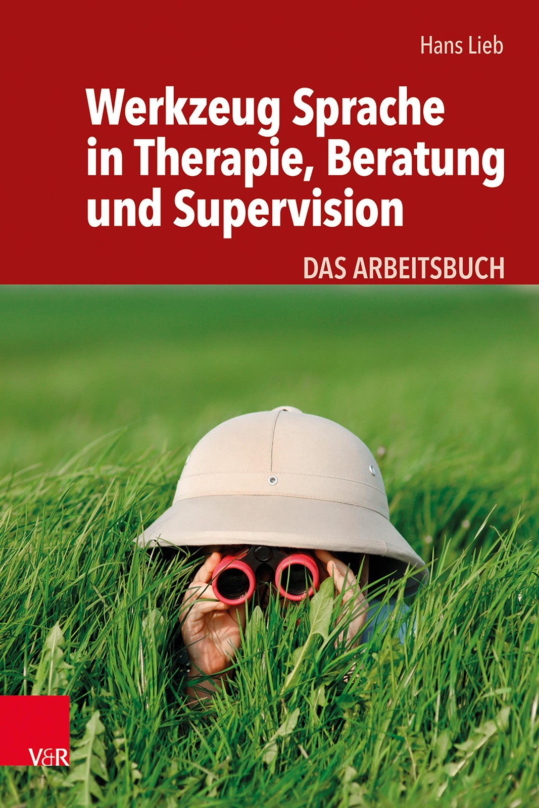 Werkzeug Sprache in Therapie, Beratung und Supervision Hans Lieb