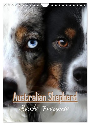 Australian Shepherd - Beste Freunde (Wandkalender 2026 DIN A4 hoch), CALVENDO...