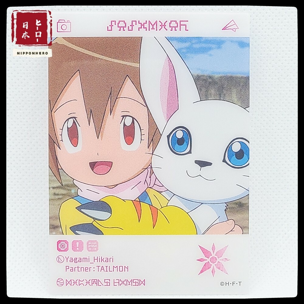 Hikari y Gatomon  Digimon adventure tri, Digimon adventure, Digimon