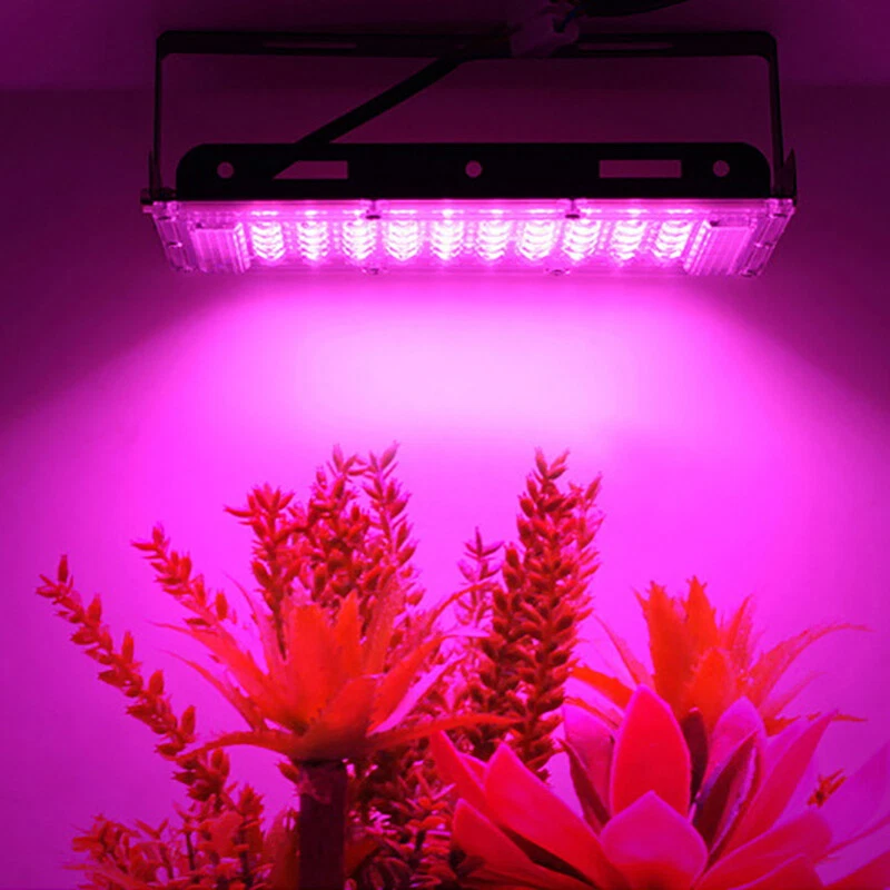 50w led sale grow light