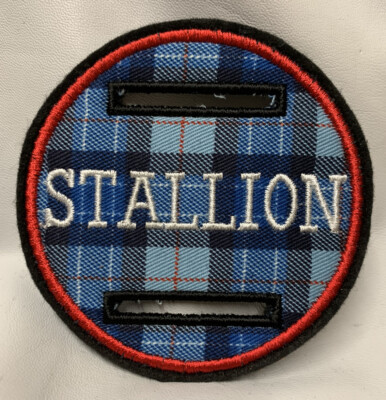 1 x 8 cm blaue Tartan-Überlagerung HENGST Scheibe Abzeichen Scheibe mit weißer Schrift