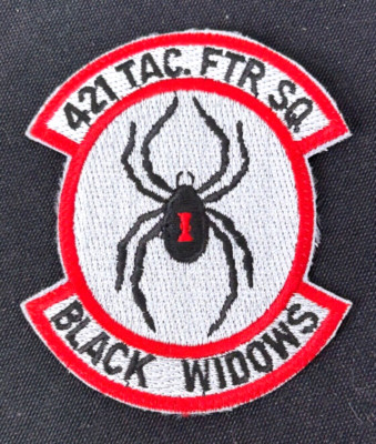 US Air Forces 421st Tactical Fighter Squadron Patch | eBay