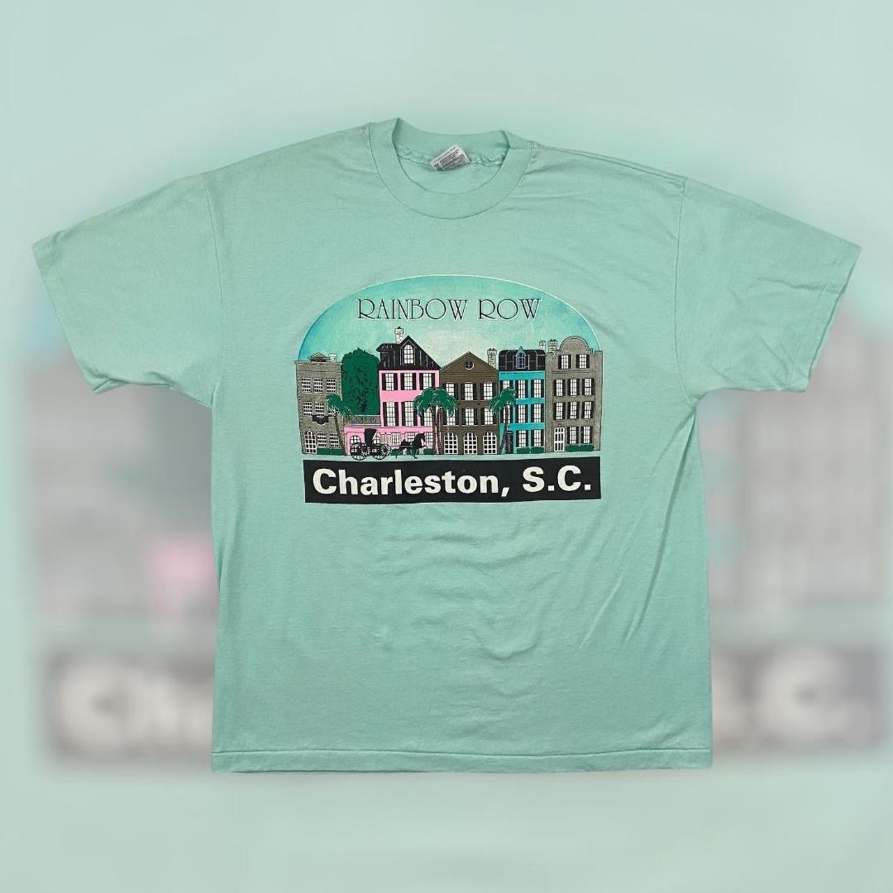 VTG 80s 90s Hanes Rainbow Road South Carolina Novelty Tee Adult XL Blue Vintage USA