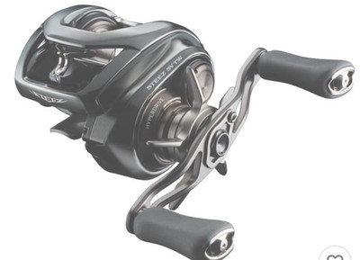 Daiwa 24 STEEZ SV TW 100XHL Baitcasting Reel Gear6.7 | eBay