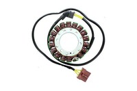 Electrosport Stator ESG 999 ESG999