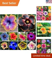 Fragrant 100+ Mixed Giant Hibiscus Seeds - Ideal for Outdoor Planting & Gifting