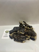 12 Medium American Alligator Feet 2-4  Louisi...