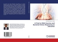 A Trial In DNA Vaccine And Bacterial Stress Responses In Zebrafish Imad Mohamedt
