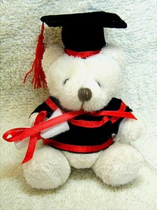 peluche laurea