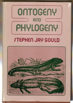 Gould:  Ontogenie  & Phylogenie (Stoff)
