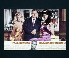 NICK MANO FREDDA fotobusta poster Paul Newman Cool Hand Luke Bar DD6