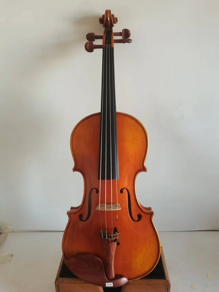 Violín 4/4 Stradi Modelo 1 PC Arce Llamado Parte Superior Abeto Tallado a Mano K0209 Foto 2 de 4