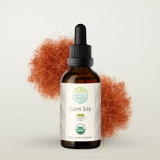 HerbEra Corn Silk Alcohol-FREE Tincture, Organic Corn Silk (Zea Mays)