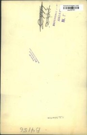 1931 Press Photo W.M. Johnston plays tennis - nes55761