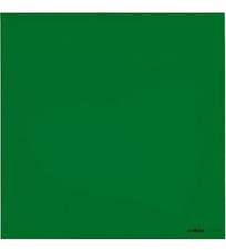 Cokin WWZ004 Grün Filter Z004 kompatibel mit Cokin Z-Serie Filterhalter ,,#