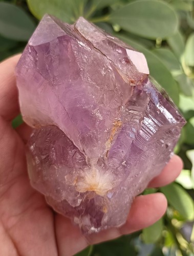 337g New Find Natural Amethyst Backbone Crystal Cluster Mineral Specimen - Picture 9 of 11