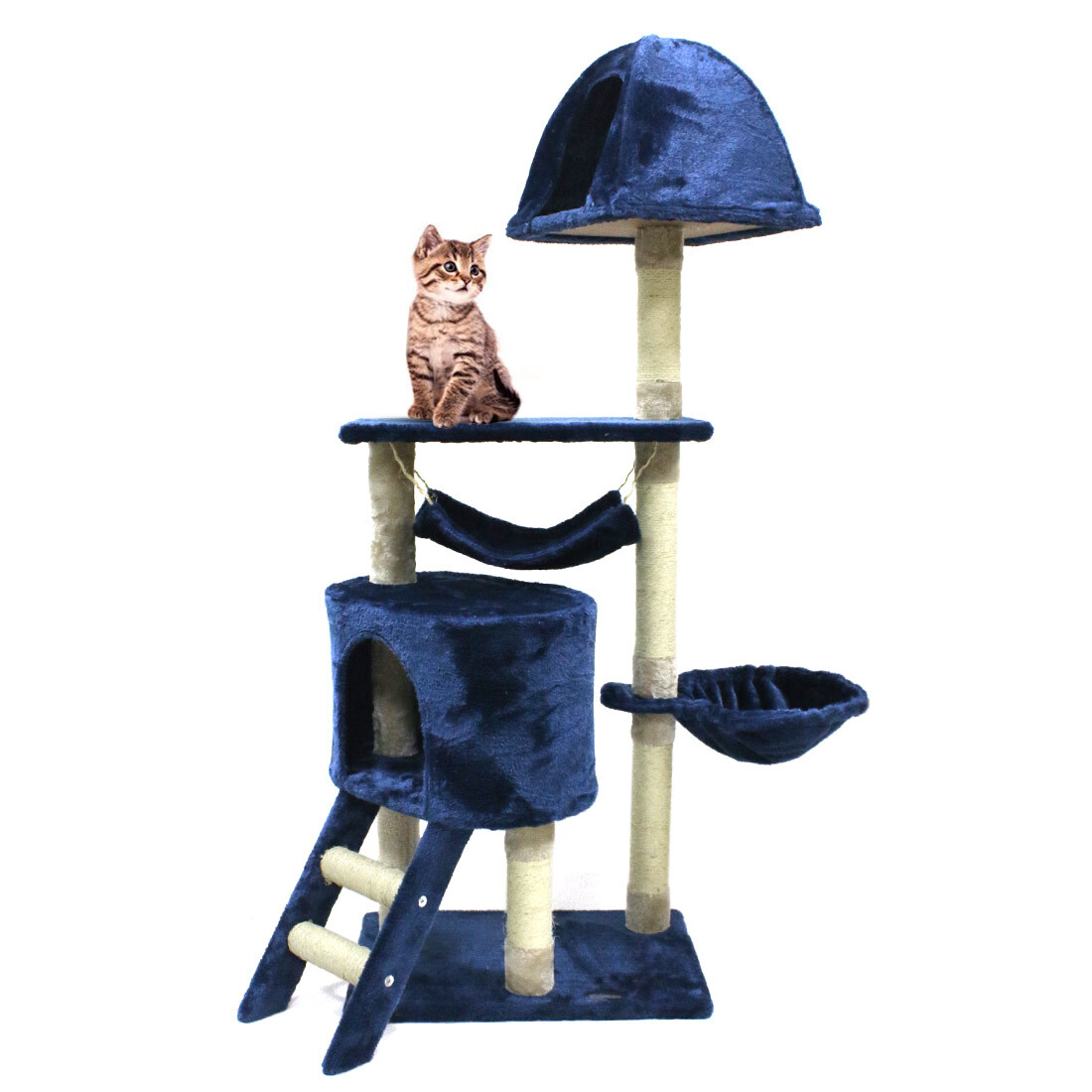cat tree blue