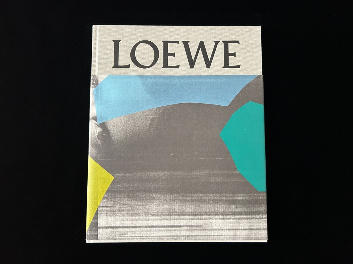 LOEWE Spring Summer 2015 Womenswear 'Maison de l'UNESCO, Paris