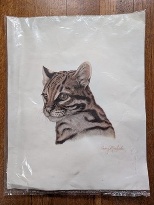 Barry Michaels Signed Print Ocelot Cat Vintage Art Print 20'' X 16'' 