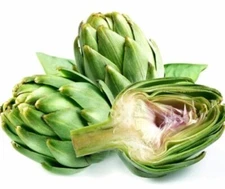 100+Organic Green Globe Artichoke Seeds | NON-GMO | Heirloom | Fresh Garden 2025