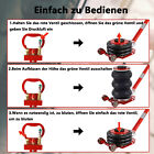 Bild 8 von 12